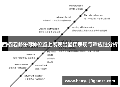 西格诺里在何种位置上展现出最佳表现与适应性分析