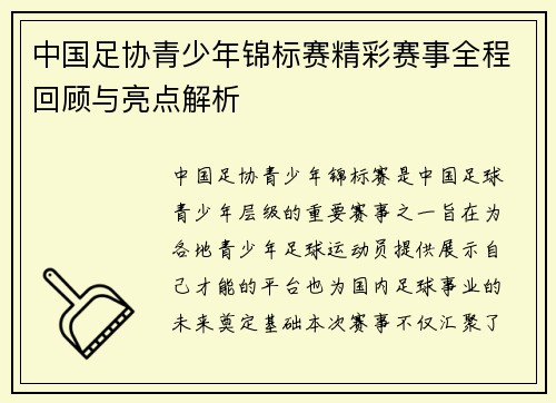 中国足协青少年锦标赛精彩赛事全程回顾与亮点解析